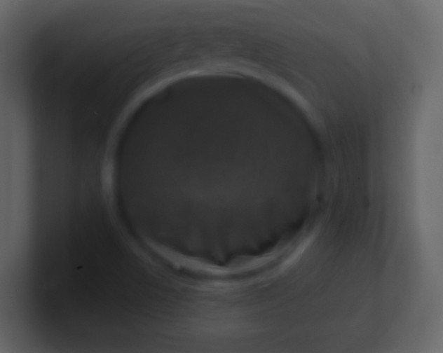 X0000100911506200807081113
