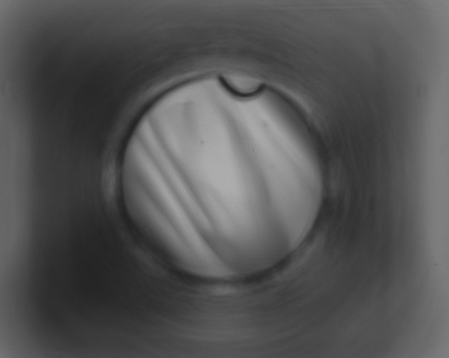 X0000100911507200807081113
