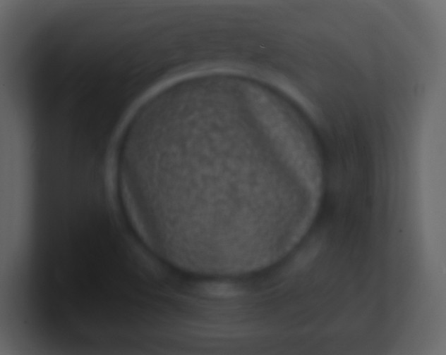 X0000100911508200807081113