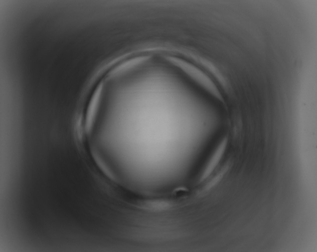X0000100911509200807081113