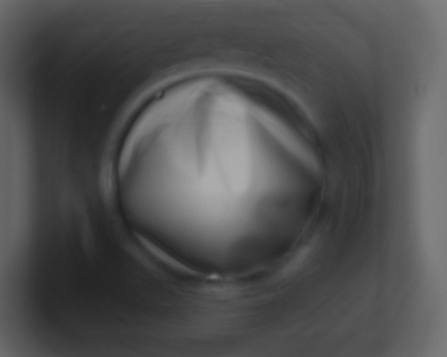 X0000100911511200807081113