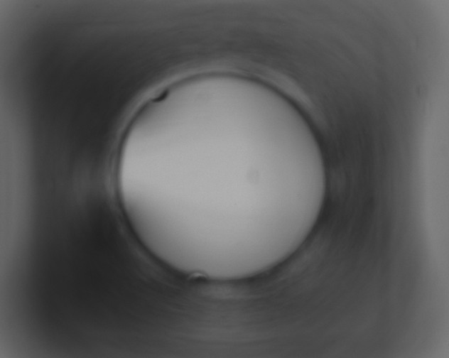 X0000100911512200807081113