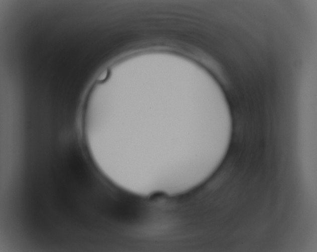 X0000100911516200807081113