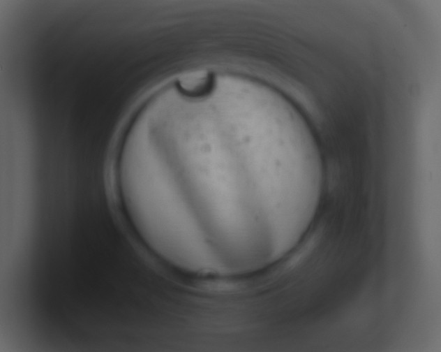 X0000100911517200807081113