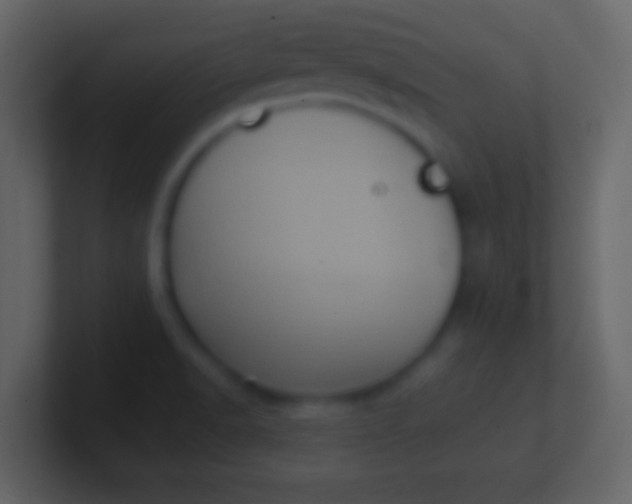 X0000100911518200807081113
