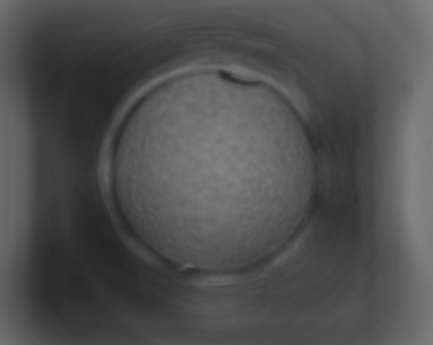 X0000100911519200807081113