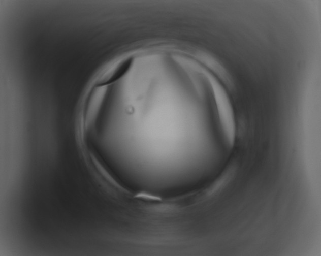X0000100911520200807081113
