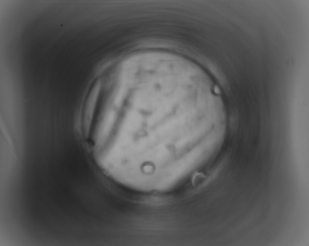 X0000100911521200807081113