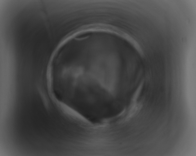 X0000100911522200807081113