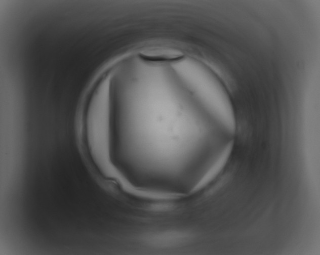 X0000100911523200807081113