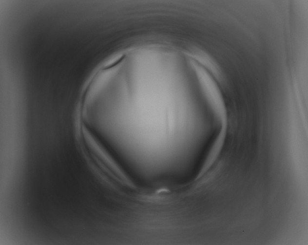 X0000100911524200807081113