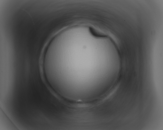 X0000100911525200807081113