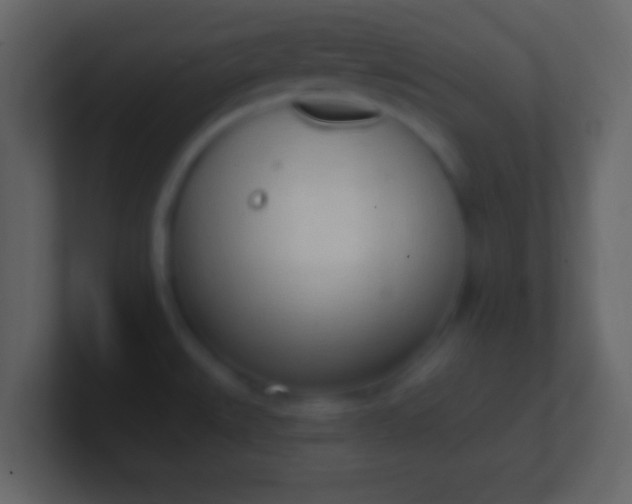 X0000100911527200807081113