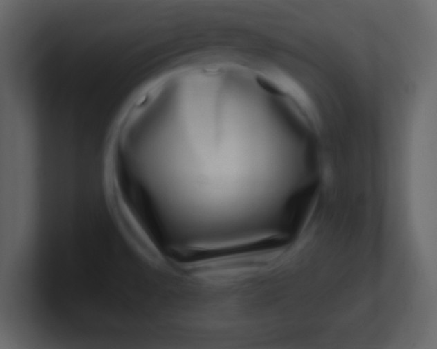 X0000100911528200807081113