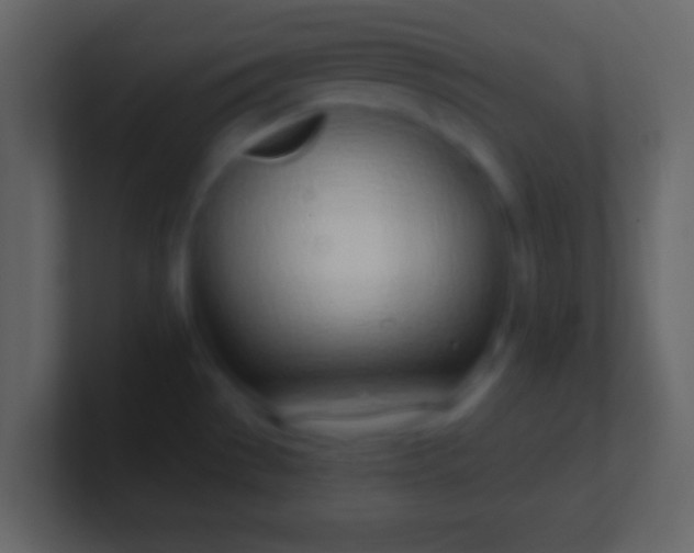 X0000100911529200807081113