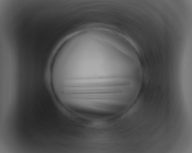 X0000100911531200807081113