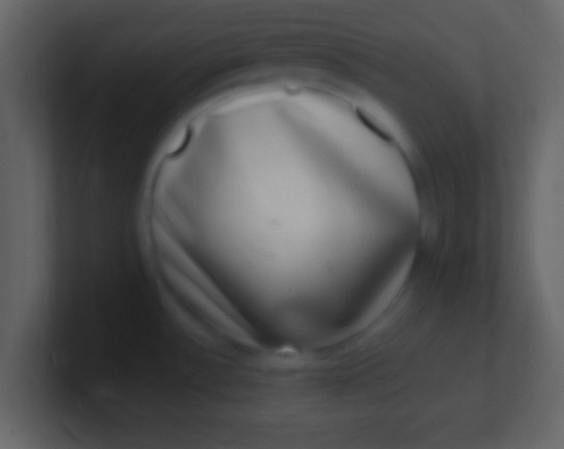 X0000100911532200807081113