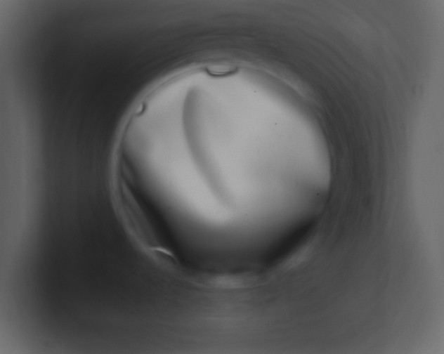 X0000100911536200807081113