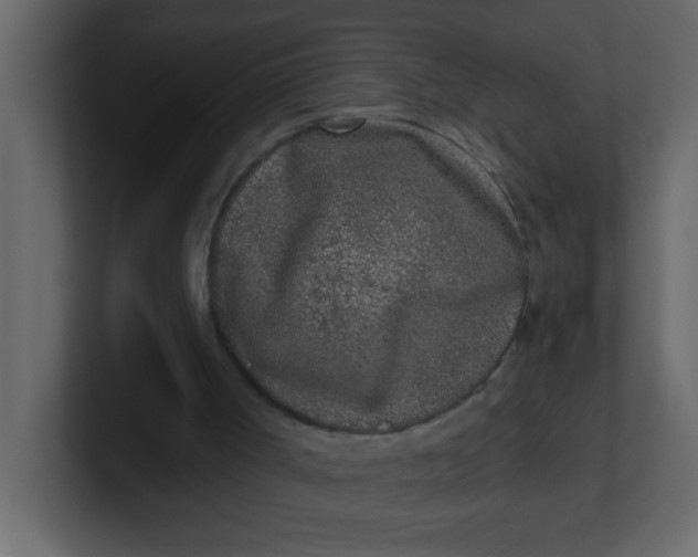 X0000100910002200807151148