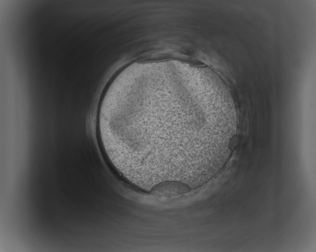 X0000100910003200807151148