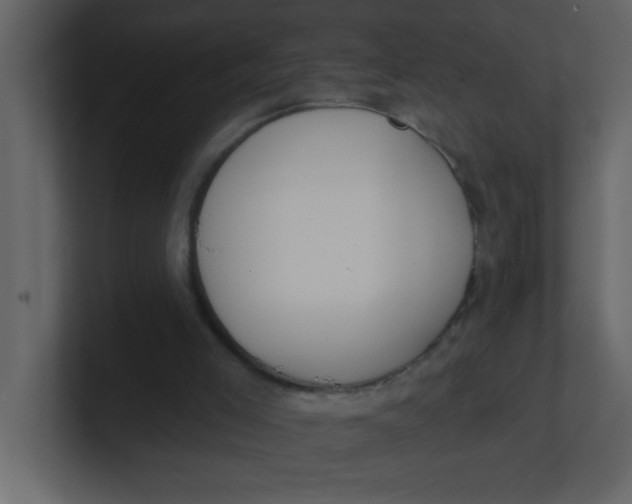 X0000100910005200807151148