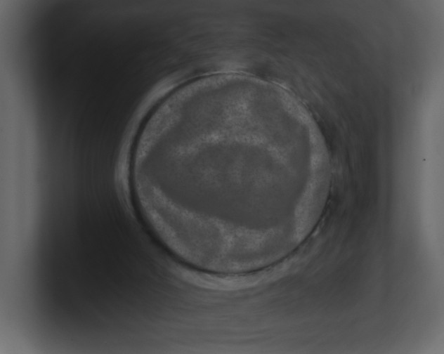 X0000100910006200807151148