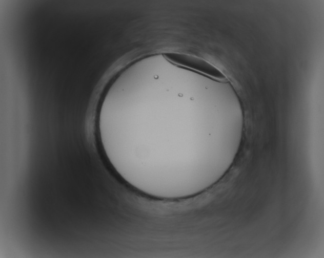 X0000100910007200807151148