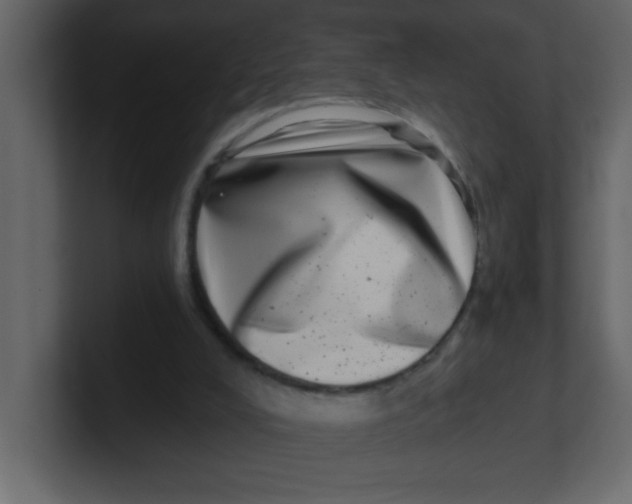 X0000100910008200807151148