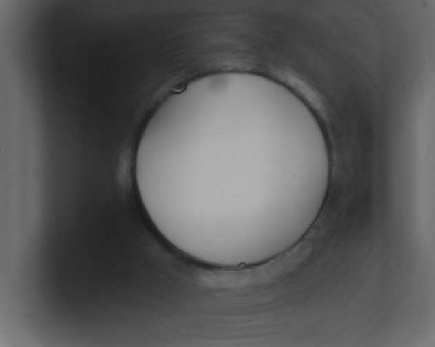 X0000100910009200807151148