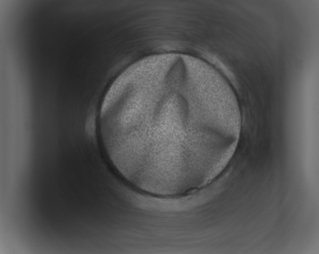 X0000100910010200807151148