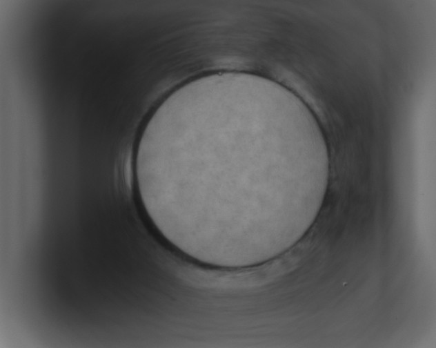 X0000100910011200807151148