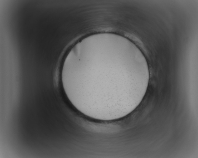 X0000100910012200807151148