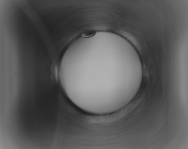 X0000100910013200807151148