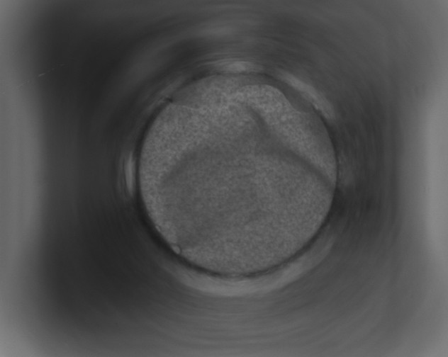 X0000100910014200807151148