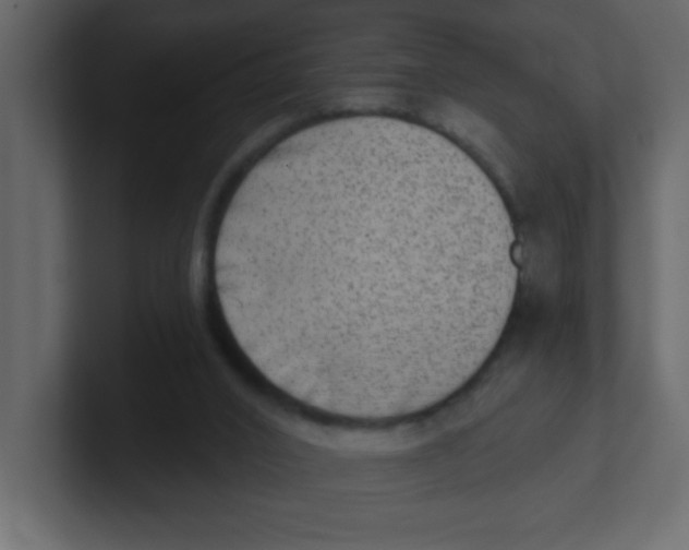 X0000100910016200807151148