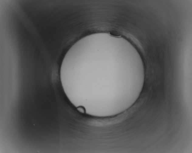 X0000100910017200807151148