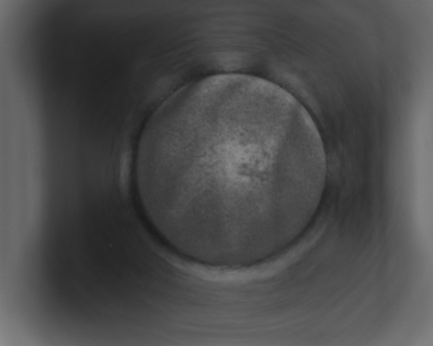 X0000100910018200807151148