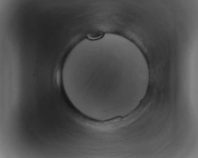 X0000100910019200807151148