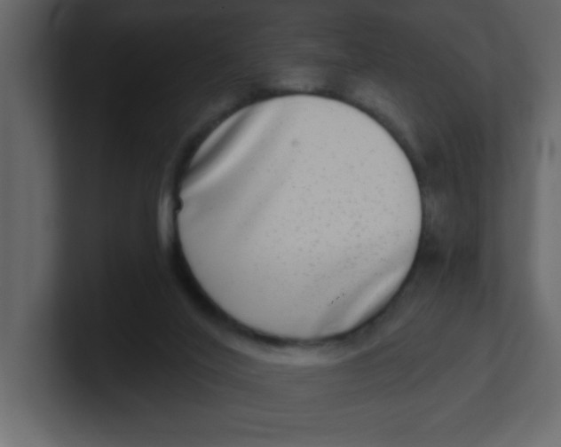 X0000100910020200807151148