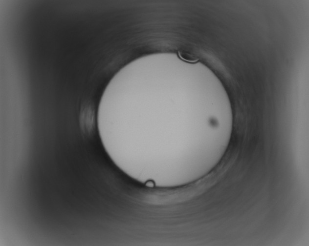 X0000100910021200807151148