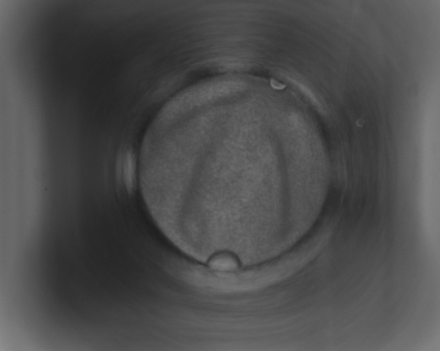 X0000100910022200807151148