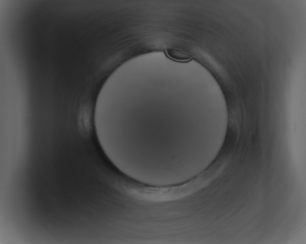 X0000100910023200807151148