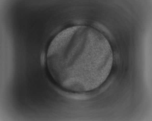 X0000100910024200807151148