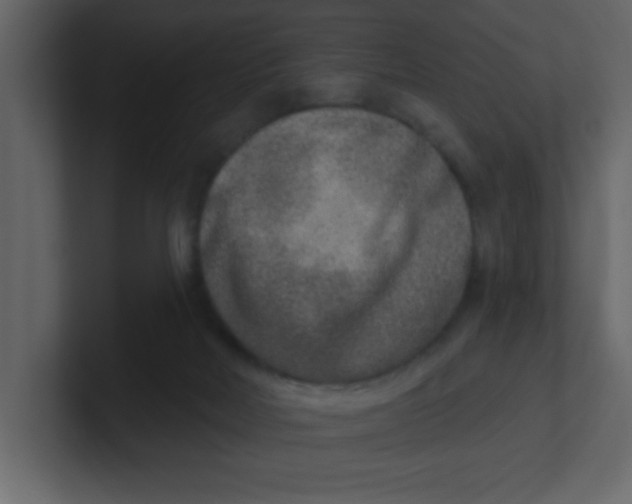 X0000100910026200807151148