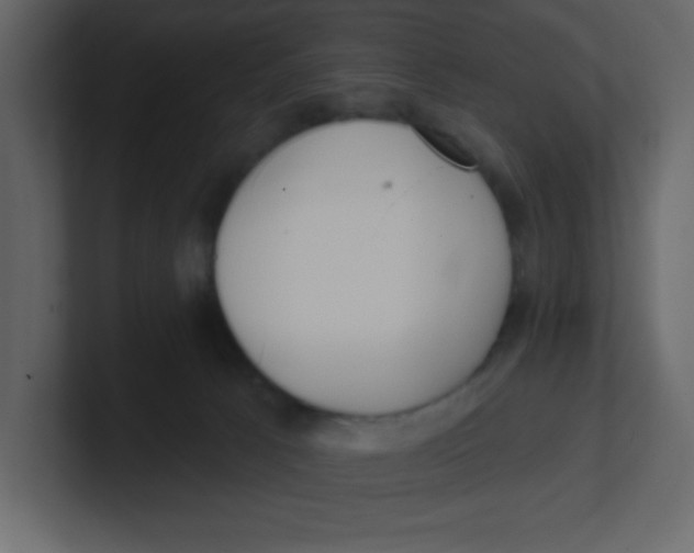 X0000100910033200807151148