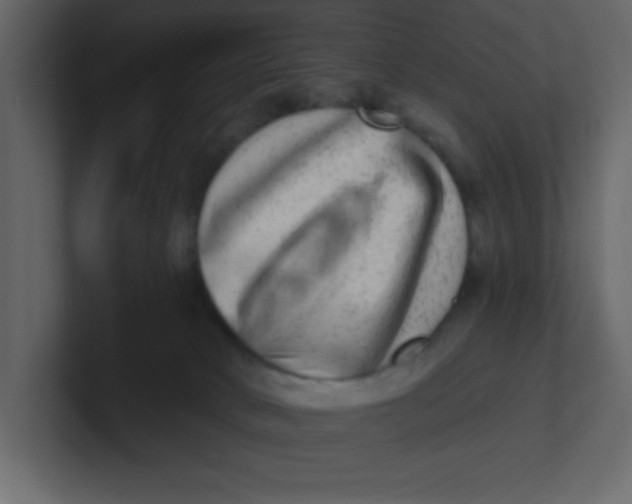 X0000100910034200807151148