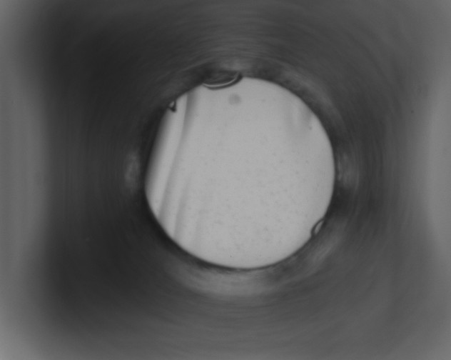 X0000100910036200807151148