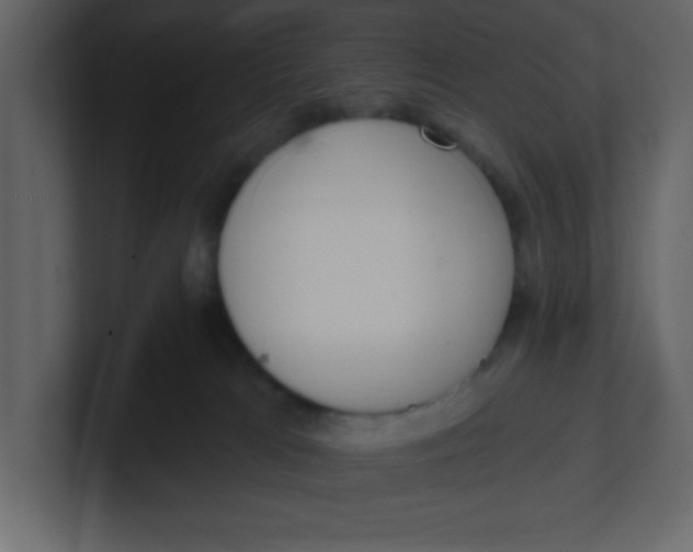 X0000100910037200807151148