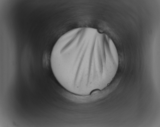 X0000100910038200807151148