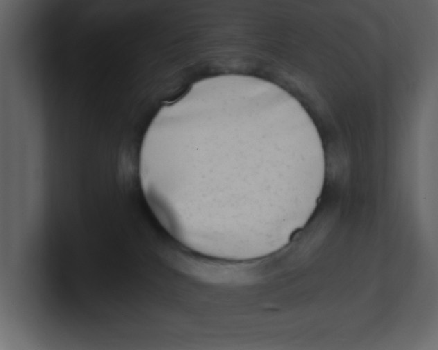 X0000100910040200807151148